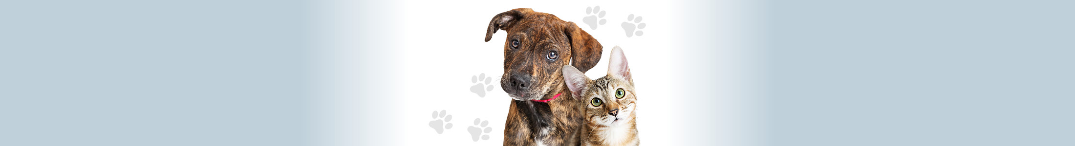 Pet Supply Drive
